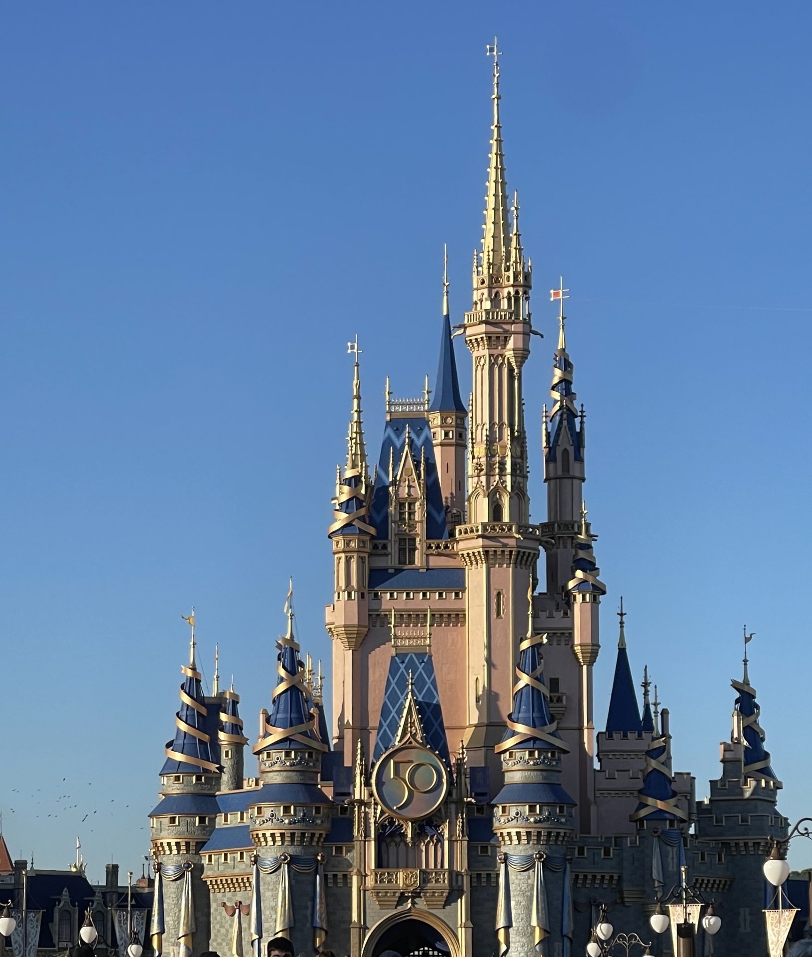 IMG_7511 (1) disney-world